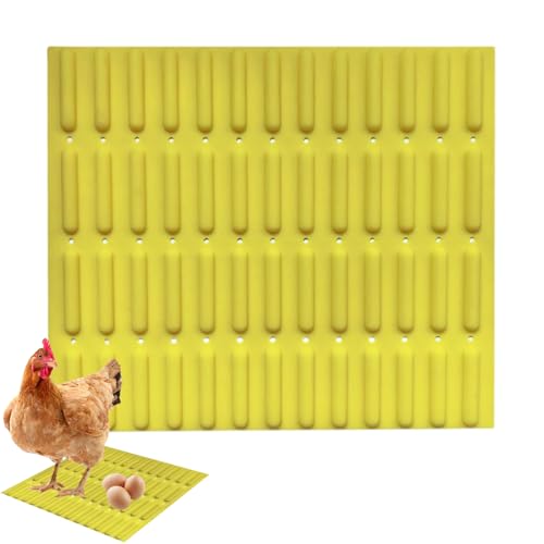 Buerfu Nistkasten-Pads für Hühner, 33,1 x 29,1 cm, Nistunterlage zum Eierlegen, waschbar, rutschfest, Silikonmatte für drinnen und draußen Buerfu Nistkasten-Pads für Hühner, 33,1 x 29,1 cm, Nistunterlage zum Eierlegen, waschbar, rutschfest, Silikonmatte für drinnen und draußen von Buerfu
