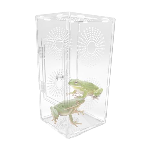 Reptilien Terrarium Box,30x15x15cm Transparente Acryl Terrarium, Reptil Fütterungsbox, Insekten Futterbox, Reptilien Aufzuchtbox Für Spinnen, Skorpion, Käfer, Gehörnter Reptilien Terrarium Box,30x15x15cm Transparente Acryl Terrarium, Reptil Fütterungsbox, Insekten Futterbox, Reptilien Aufzuchtbox Für Spinnen, Skorpion, Käfer, Gehörnter von Buerfu