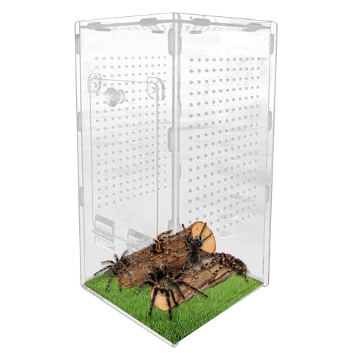 Reptilien Terrarium Box,Transparente Acryl Terrarium, Reptil Fütterungsbox, Insekten Futterbox, Reptilien Aufzuchtbox Für Spinnen, Skorpion, Käfer, Gehörnter f-Rosch Reptilien Terrarium Box,Transparente Acryl Terrarium, Reptil Fütterungsbox, Insekten Futterbox, Reptilien Aufzuchtbox Für Spinnen, Skorpion, Käfer, Gehörnter f-Rosch von Buerfu