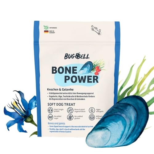 BugBell Getreidefreier Hundesnack für Knochen & Gelenke 60g, bei Arthrose, Patellaluxation, mit Grünlippmuschel & Spirulina & Weidenrinde & Teufelskralle von BugBell