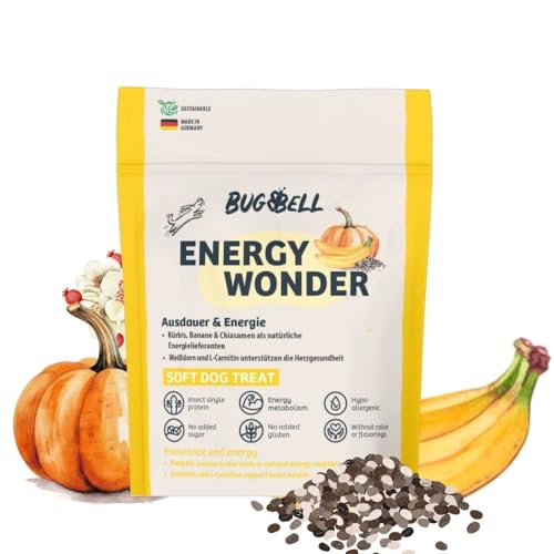 BugBell Getreidefreies Hundeleckerli mit Funktion 60g, High Energy Snack, für EIN aktives Hundeleben, Insektenprotein, Banane, Kürbis, Chiasamen, L-Carnitin von BugBell