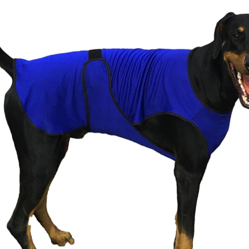 Kühlweste für Hunde, kühlend, atmungsaktiv, UV-Schutzjacke, leicht und hautfreundlich, schnell trocknend, hitzebeständig, 37 x 22,5 x 1 cm, für kleine, mittelgroße und große Hunde Kühlweste für Hunde, kühlend, atmungsaktiv, UV-Schutzjacke, leicht und hautfreundlich, schnell trocknend, hitzebeständig, 37 x 22,5 x 1 cm, für kleine, mittelgroße und große Hunde von Buhygn