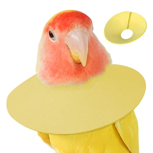 Prävention Vogelkegel-Halsband, Vogelhalsband, Papageien-Schutzkegel, einfach zu bedienen, sicher für Haustiere, S: 7 x 7 x 1 cm/M: 9 x 9 x 1 cm/L: 10 x 10 x 1 cm/EL: 12,4 x 12,4 x 1 cm für Haustiere Prävention Vogelkegel-Halsband, Vogelhalsband, Papageien-Schutzkegel, einfach zu bedienen, sicher für Haustiere, S: 7 x 7 x 1 cm/M: 9 x 9 x 1 cm/L: 10 x 10 x 1 cm/EL: 12,4 x 12,4 x 1 cm für Haustiere von Buhygn