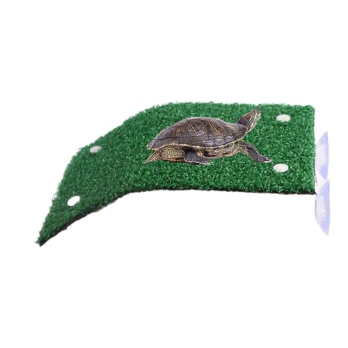 Turtle Basking P Latform, Tu-Rtle Ruhe, Basking Dock, schwimmende Dekoration, Basis Simulation Gras, T-U-Rtle Rampe, Lebensraumumgebung, tolles Material, 14 cm, für Tank oder Terrarium Turtle Basking P Latform, Tu-Rtle Ruhe, Basking Dock, schwimmende Dekoration, Basis Simulation Gras, T-U-Rtle Rampe, Lebensraumumgebung, tolles Material, 14 cm, für Tank oder Terrarium von Buhygn