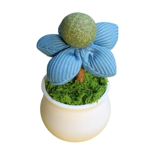 Buhyujkm Catnip Toys Cats, Flower Pot Cat Enrichment Toy, Natural Pet Toy for Felines, Teeth Cleaning & Chewing, Indoor Kitten Playtime Miniature, 3 Piece Set, Interactive Pet Supplies Buhyujkm Catnip Toys Cats, Flower Pot Cat Enrichment Toy, Natural Pet Toy for Felines, Teeth Cleaning & Chewing, Indoor Kitten Playtime Miniature, 3 Piece Set, Interactive Pet Supplies von Buhyujkm