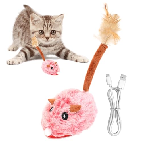 Buhyujkm Katzen-Mäuse-Spielzeug, interaktives Kauspielzeug für Katzen, realistische Mäuse, Katzenspielzeug, Katzenspielzeug für Indoor-Katzen, Übungspuzzle-Spielzeug für Katzen, lustiges Buhyujkm Katzen-Mäuse-Spielzeug, interaktives Kauspielzeug für Katzen, realistische Mäuse, Katzenspielzeug, Katzenspielzeug für Indoor-Katzen, Übungspuzzle-Spielzeug für Katzen, lustiges von Buhyujkm