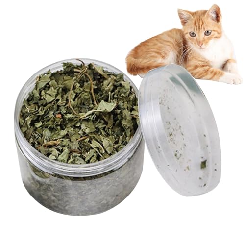 Buhyujkm Katzenminze, 40 g, natürliche Blätter, Katzenminze, Leckerli für die Zahnreinigung, echte natürliche Blätter, Katzenminze, gesunde Katzensnacks für Zahnreinigung, Haarentfernung, Buhyujkm Katzenminze, 40 g, natürliche Blätter, Katzenminze, Leckerli für die Zahnreinigung, echte natürliche Blätter, Katzenminze, gesunde Katzensnacks für Zahnreinigung, Haarentfernung, von Buhyujkm