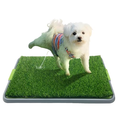 Hundetoilette, waschbares Urinierpad und Kunstrasen-Patch für Hunde, Welpento-Training, tragbare Katzentoilette für den Innenbereich Hundetoilette, waschbares Urinierpad und Kunstrasen-Patch für Hunde, Welpento-Training, tragbare Katzentoilette für den Innenbereich von Buithafu