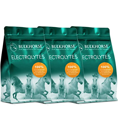 BulkHorse Elektrolyte | Premium-QUALITÄT für WARMES Wetter und intensives Training | Muskeln, Energie UND KNOCHENBILDUNG | 3000 Gramm von BulkHorse