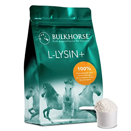 BulkHorse L-Lysine+ | Premium-QUALITÄT: für das Immunsystem und bei Ermüdung Ihres Pferdes | 1000 g von BulkHorse