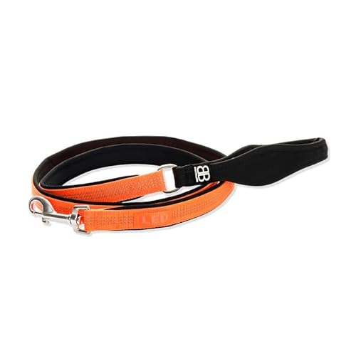 BULLYBILLOWS Active Light Hundeleine, reflektierende Nylon-Hundeleine mit Neopren-gefüttertem Griff, Edelstahl-Hardware, 1,4 m Länge, Orange von BullyBillows