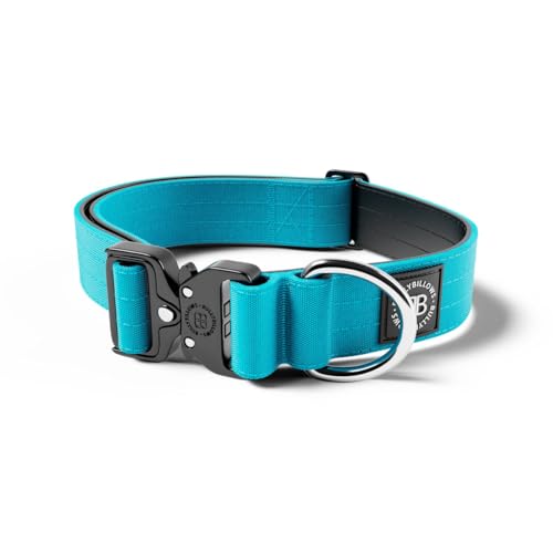 BullyBillows 4 cm Combat® Hundehalsband v2.0 | Robustes Design mit zertifiziertem Clip | Ohne Griff | Mit Neopren Gefüttert für Komfort | Hellblau | Mittel | Verstellbare Größe 35 cm–54 cm (14"–21") von BullyBillows