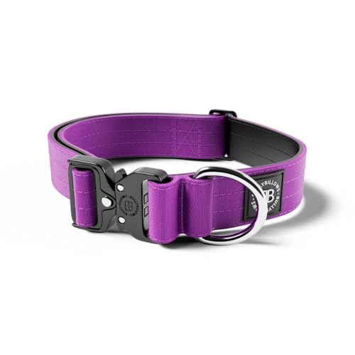BullyBillows 4 cm Combat® Hundehalsband v2.0 | Robustes Design mit zertifiziertem Clip | Ohne Griff | Mit Neopren Gefüttert für Komfort | Lila | Groß | Verstellbare Größe 43 cm–72 cm (17"–28") von BullyBillows