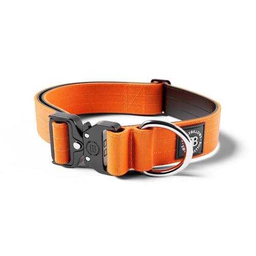 BullyBillows 4 cm Combat® Hundehalsband v2.0 | Robustes Design mit zertifiziertem Clip | Ohne Griff | Mit Neopren Gefüttert für Komfort | Orange | Mittel | Verstellbare Größe 35 cm–54 cm (14"–21") von BullyBillows