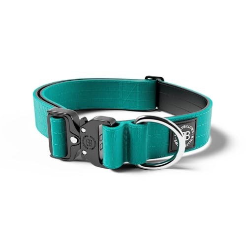 BullyBillows 4 cm Combat® Hundehalsband v2.0 | Robustes Design mit zertifiziertem Clip | Ohne Griff | Mit Neopren Gefüttert für Komfort | Türkis | Mittel | Verstellbare Größe 35 cm–54 cm (14"–21") von BullyBillows