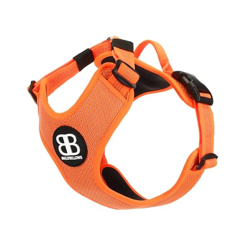 BullyBillows Active Light Dog Harness with Handle | Premium Dog Harness | Padded Lining & Highly Reflective Dog Harness Suitable for All Dog Breeds | Orange XSmall von BullyBillows