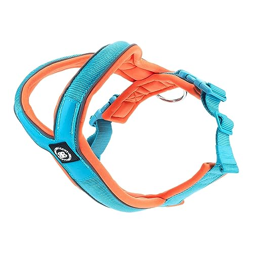 BullyBillows Hundegeschirr zum Hineinschlüpfen | Schaumstoffgepolstert | Mit Neopren Gefüttert, Verstellbar | Y-Form mit Reflexstreifen & Edelstahl-D-Schlaufe | Blau-Orange | Mittel BullyBillows Hundegeschirr zum Hineinschlüpfen | Schaumstoffgepolstert | Mit Neopren Gefüttert, Verstellbar | Y-Form mit Reflexstreifen & Edelstahl-D-Schlaufe | Blau-Orange | Mittel von BullyBillows