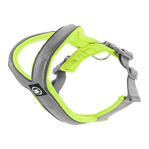 BullyBillows Hundegeschirr zum Hineinschlüpfen | Schaumstoffgepolstert | Mit Neopren Gefüttert, Verstellbar | Y-Form mit Reflexstreifen & Edelstahl-D-Schlaufe | Metallgrau-Neon | XX Groß BullyBillows Hundegeschirr zum Hineinschlüpfen | Schaumstoffgepolstert | Mit Neopren Gefüttert, Verstellbar | Y-Form mit Reflexstreifen & Edelstahl-D-Schlaufe | Metallgrau-Neon | XX Groß von BullyBillows