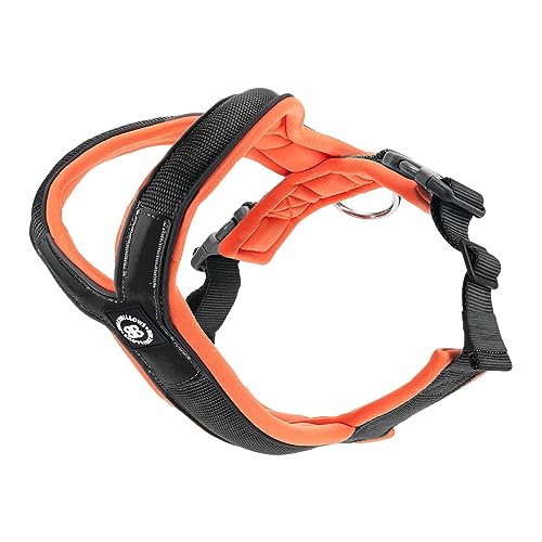 BullyBillows Hundegeschirr zum Hineinschlüpfen | Schaumstoffgepolstert | Mit Neopren Gefüttert, Verstellbar | Y-Form mit Reflexstreifen & Edelstahl-D-Schlaufe | Schwarz-Orange | X Klein BullyBillows Hundegeschirr zum Hineinschlüpfen | Schaumstoffgepolstert | Mit Neopren Gefüttert, Verstellbar | Y-Form mit Reflexstreifen & Edelstahl-D-Schlaufe | Schwarz-Orange | X Klein von BullyBillows