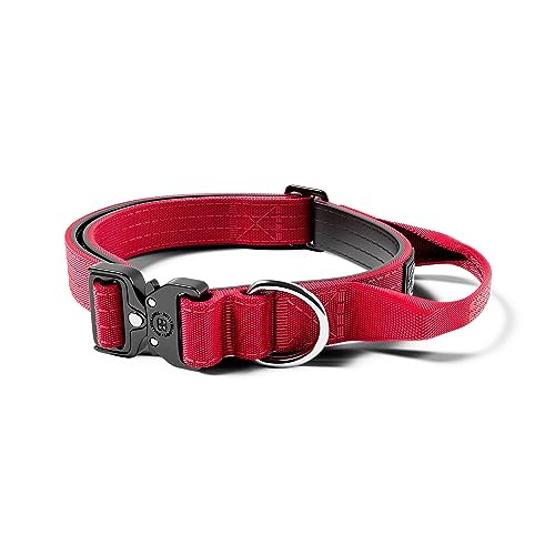 BullyBillows Hundehalsband | 2,5 cm Combat® Halsband mit Griff und druckgeprüftem Clip | Geeignet für alle Hunderassen | Edelstahl-Hundehalsband | Rot | XS–M (14–18" / 34–46 cm) von BullyBillows