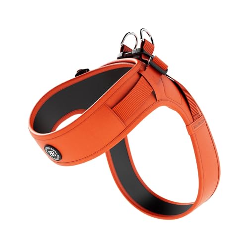BullyBillows Boomerang Hundegeschirr leicht und nicht einschränkend Einfach anzulegen und abzunehmen | Hochwertiges Hundegeschirr mit Klettverschluss | Orange | Extra Klein BullyBillows Boomerang Hundegeschirr leicht und nicht einschränkend Einfach anzulegen und abzunehmen | Hochwertiges Hundegeschirr mit Klettverschluss | Orange | Extra Klein von BullyBillows