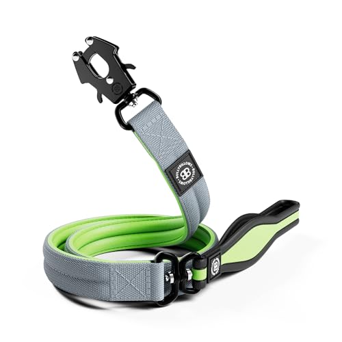 BullyBillows 1,2 m Mini Combat Halsband Leine | Edelstahl Hundeleine | Geeignet für alle Hunderassen | Neopren Hundeleine mit weichem Griff & druckgeprüftem Clip | Schwarz & Orange BullyBillows 1,2 m Mini Combat Halsband Leine | Edelstahl Hundeleine | Geeignet für alle Hunderassen | Neopren Hundeleine mit weichem Griff & druckgeprüftem Clip | Schwarz & Orange von BullyBillows