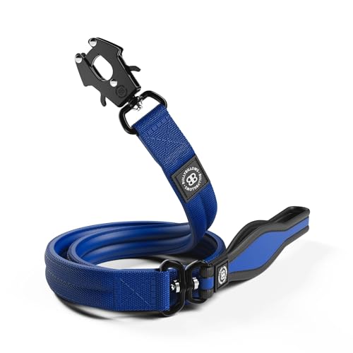 BullyBillows 1,2 m Mini Combat Halsband Leine | Edelstahl Hundeleine | Geeignet für alle Hunderassen | Neopren Hundeleine mit weichem Griff & druckgeprüftem Clip | Schwarz & Orange BullyBillows 1,2 m Mini Combat Halsband Leine | Edelstahl Hundeleine | Geeignet für alle Hunderassen | Neopren Hundeleine mit weichem Griff & druckgeprüftem Clip | Schwarz & Orange von BullyBillows
