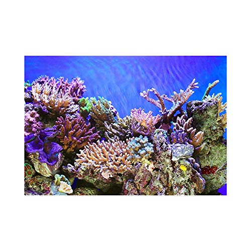 Bulz Aquarium-Hintergrund Korallenriff, 3D-Effekt, realistischer Effekt, Dekoration für Aquarien, Bilder, Fisch-Habitat-Hintergrund, Glas-Wandaufkleber, selbstklebendes Papier (122 x 50 cm) von Bulz