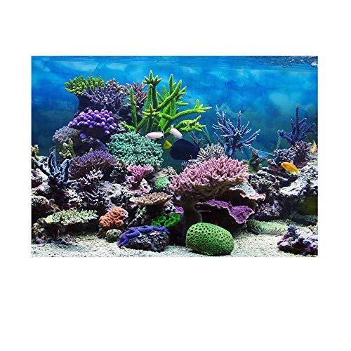 Bulz Aquarium Hintergrund Fisch Tank Dekorationen Bilder Fisch Habitat Hintergrund Glas Wandtattoo Selbstklebendes Papier – Korallenriff, 3D realistischer Effekt (91 x 41 cm) von Bulz