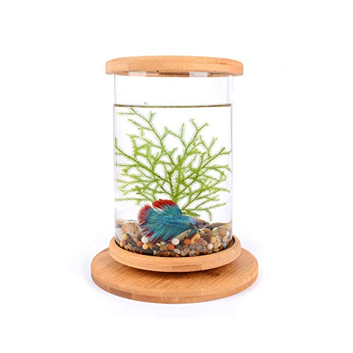Rundes rotierendes Aquarium für den Schreibtisch, transparentes Glas, Fischschale, Aquarium, Goldfisch, Betta-Zubehör, Heim- oder Bürodekoration von Bulz