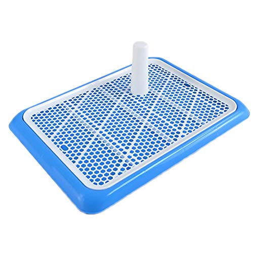Bumdenuu Trainingspads für Welpen und kleine Haustiere, für Haustiere, Toilette für kleine Hunde, Potty Trainer für kleine Hunde Bumdenuu Trainingspads für Welpen und kleine Haustiere, für Haustiere, Toilette für kleine Hunde, Potty Trainer für kleine Hunde von Bumdenuu