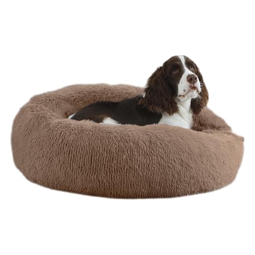 Bunlitent Beruhigendes Hundebett, Plüsch, Anti-Angst, Donut-Hundebett für kleine, mittelgroße Hunde, wärmend, gemütlich, weich, niedlich, rund, waschbar, Marshmallow-Kuschelnest, Haustierbett, 76,2 Bunlitent Beruhigendes Hundebett, Plüsch, Anti-Angst, Donut-Hundebett für kleine, mittelgroße Hunde, wärmend, gemütlich, weich, niedlich, rund, waschbar, Marshmallow-Kuschelnest, Haustierbett, 76,2 von Bunlitent