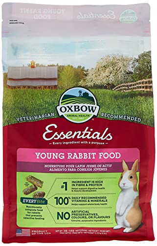 Petlife Oxbow Bunny Basics 15/23 Komplettfutter für junge Kaninchen, 2,25 kg von Bunny Basics 15/23