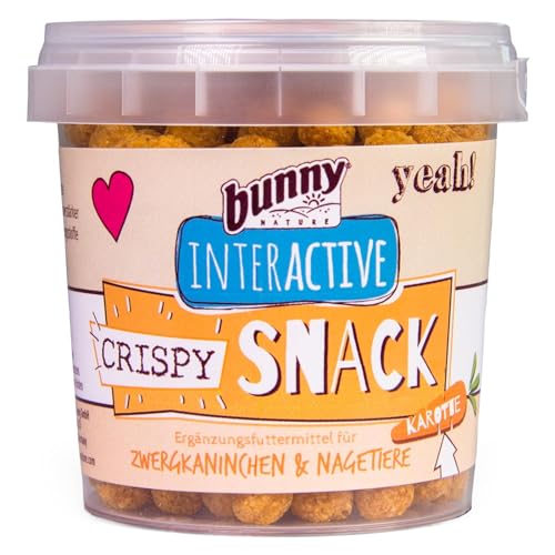 Bunny Crispy Snack Karotte | 25 g | Ergänzungsfuttermittel für Zwergkaninchen und Nagetiere | Der perfekte Belohnungssnack für Nager | Nur 3 Zutaten | Wiederverschließbar von Bunny Nature