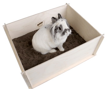 Bunny Buddelkiste Bunny Buddelkiste von Bunny