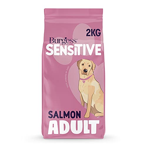 Burgess Sensitive hypoallergenes Hundefutter mit schottischem Lachs und Reis, 2 kg von Burgess Sensitive