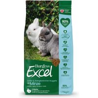Burgess Excel Junior & Zwergkaninchen Nuggets mit Minze – Ergänzungsfutter für junge & zwergige Kaninchen von Burgess