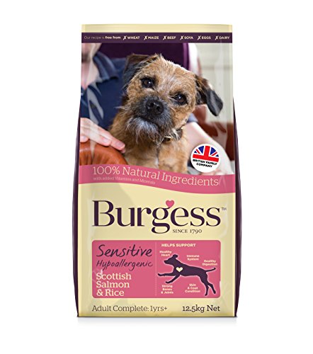 Burgess Sensitive Dry Trockenfutter für Hunde mit Lachs, 12,5 kg von Burgess Sensitive