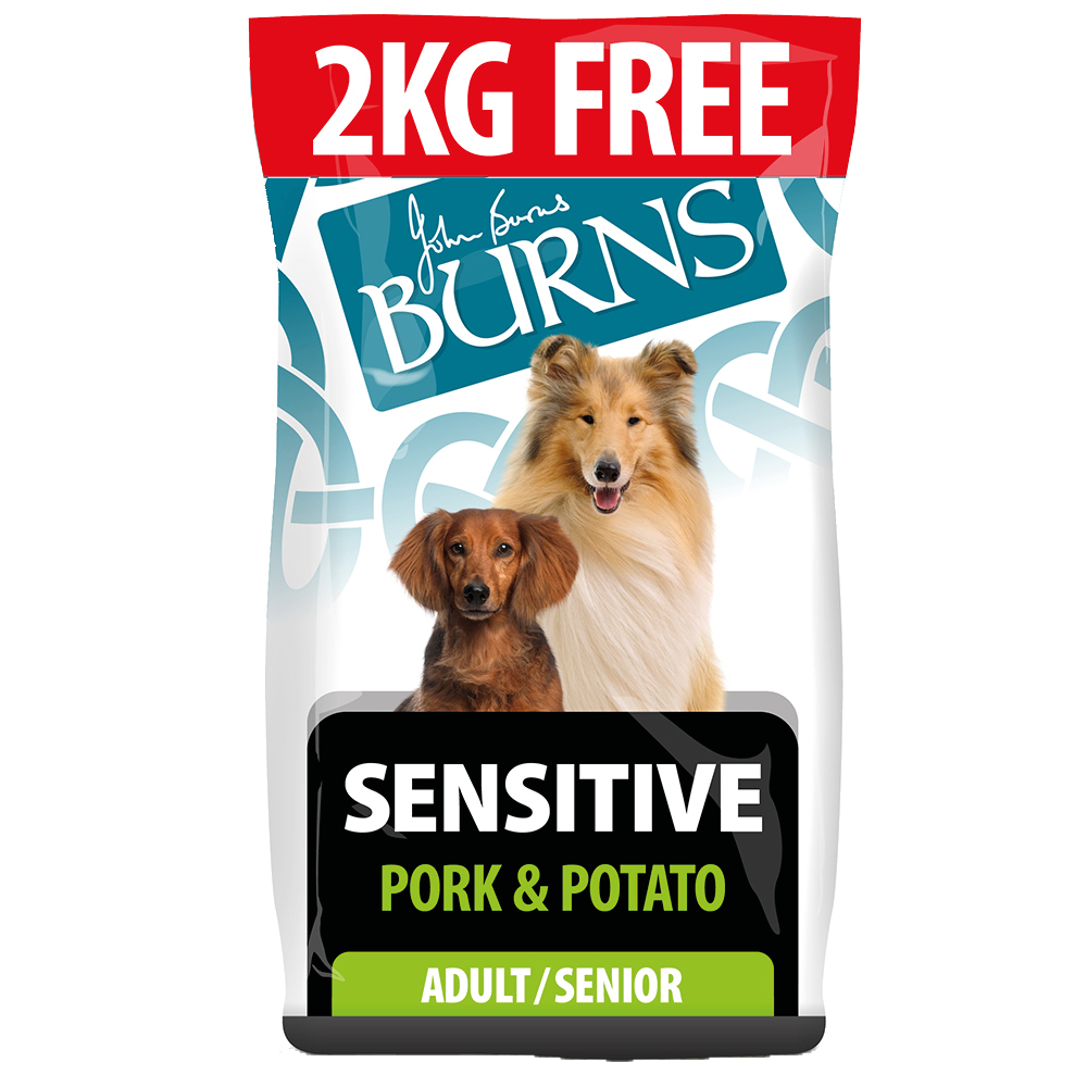 2 kg gratis! 14 kg Burns Trockenfutter - Adult Sensitive - Schweinefleisch & Kartoffel 2 kg gratis! 14 kg Burns Trockenfutter - Adult Sensitive - Schweinefleisch & Kartoffel von Burns