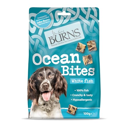 Burns Ocean Bites Hundeleckerlis, 100 g von Burns