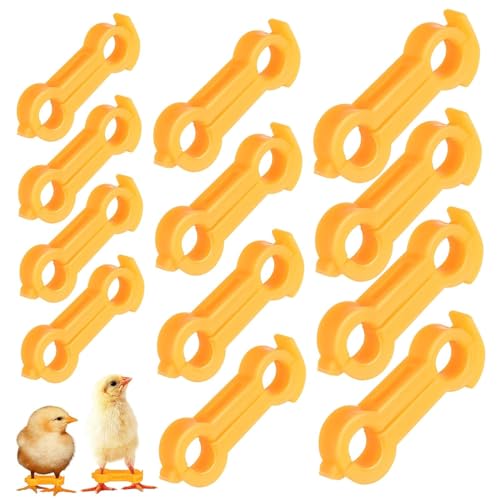 15er Set Küken Beinspange, Spreizbein Hüpfer Klammer, Vogelbein Stützband für Neugeborene Vögel, Küken Zubehör - Einfach zu verwenden und zu reinigen (15PCS) von Bursker