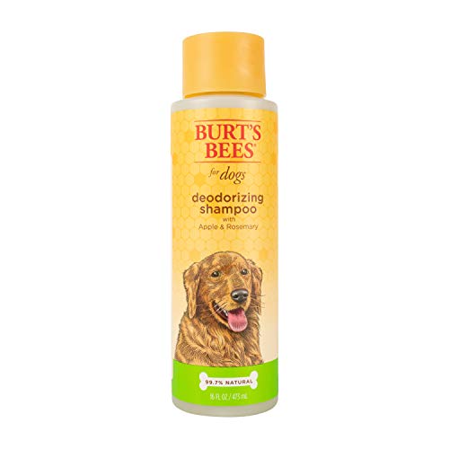 Fetch For Pets Burt's Bees Dog Shampoo 16oz-Deodorizing von BURT'S BEES FOR PETS