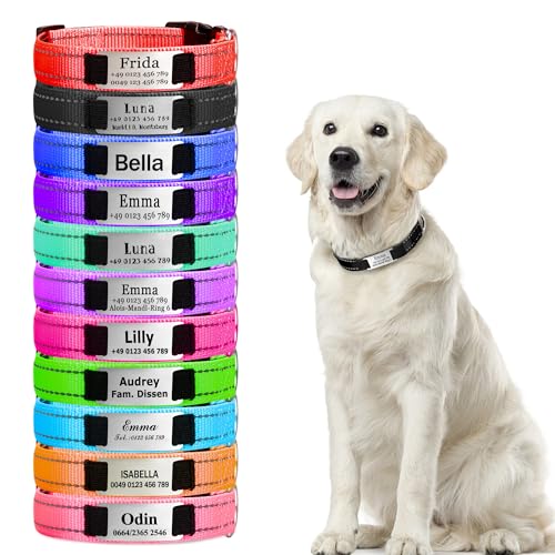 Personalisierte Hundehalsbänder, Reflektierende Hundehalsband mit Namen Telefonnummer, Verstellbar Halsband mit Namensschild Personalisiertes Geschenk von Buruslove