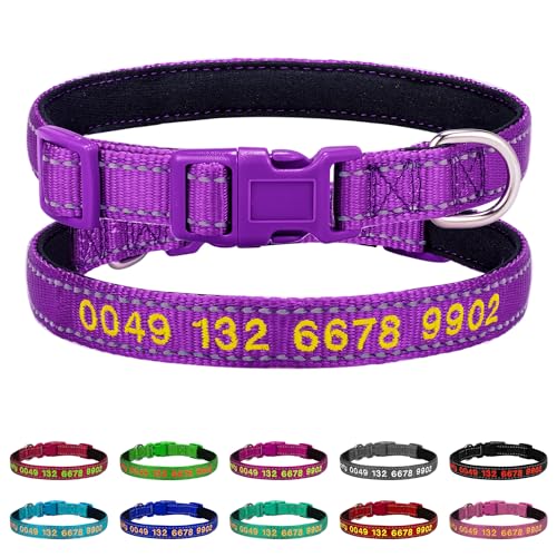Personalisiert Hundehalsband mit Namen und Telefonnummer Bestickt | Reflektierend Halsbänder Nylon für Kleine Mittlere Große Hunde (Mit Neopren Gepolstert) von Buruslove