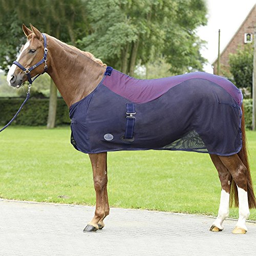 BUSSE Abschwitzdecke SUMMER-FLY II BUSSE Abschwitzdecke SUMMER-FLY II von Busse