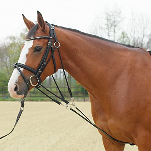 Gogue BASIC von Busse