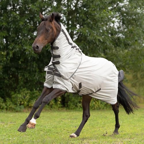 BUSSE Outdoor-Fliegendecke Sunshine II, Silber (anthrazit), Rückenlänge 135 cm - Plus von Busse