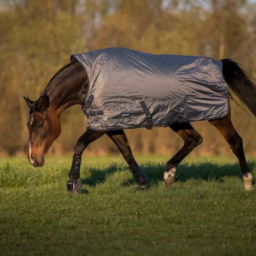 Outdoordecke RAIN-DEAR 100 von Busse