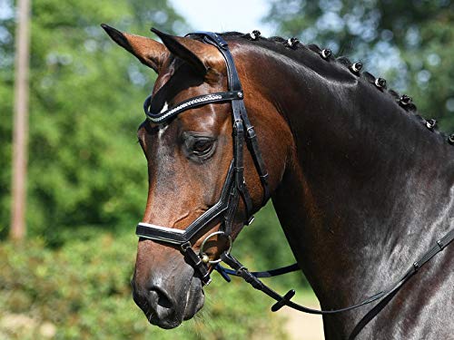 Trense MODENA von Busse