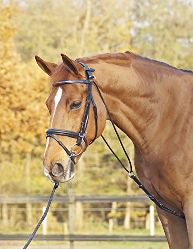Chambon BASIC von Busse